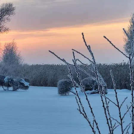 Joesuu Puhkemaja Saunamaja *