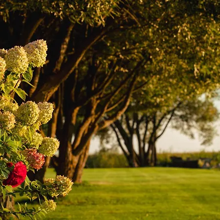 Joesuu Puhkemaja Saunamaja *