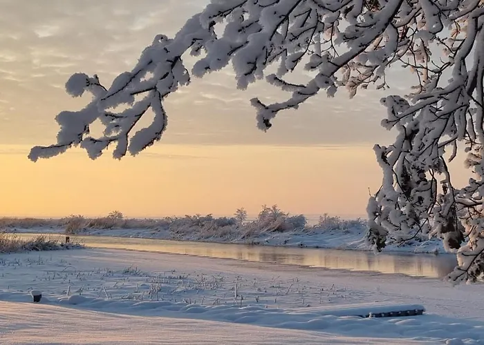 Joesuu Puhkemaja Saunamaja