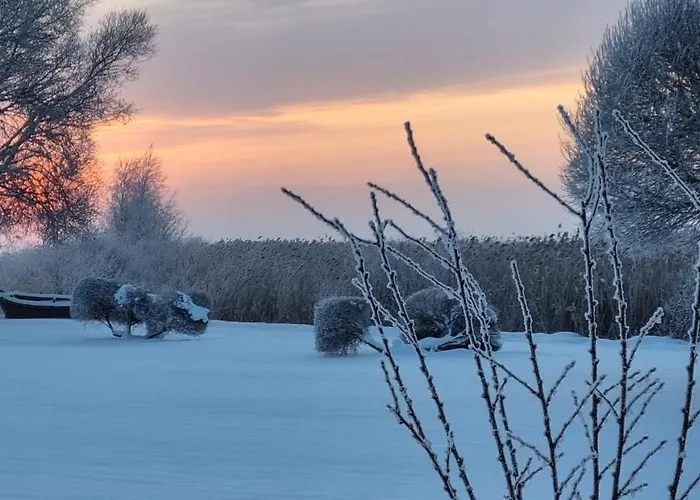 Joesuu Puhkemaja Saunamaja *