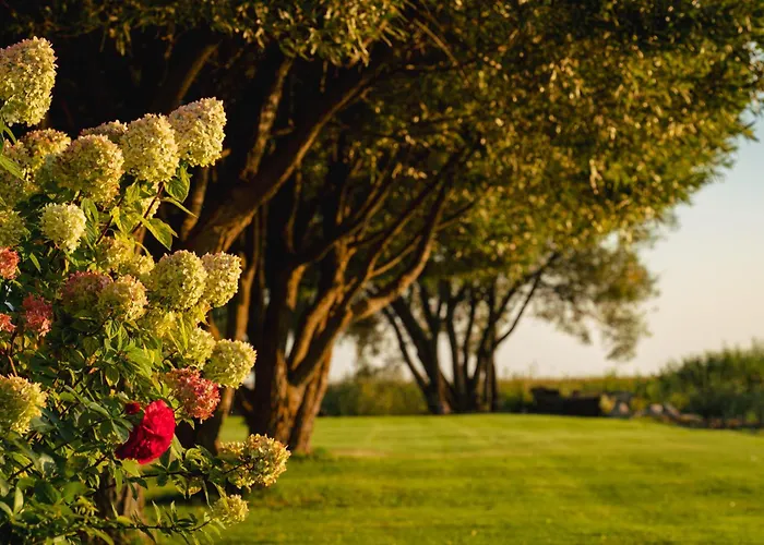 Joesuu Puhkemaja Saunamaja *